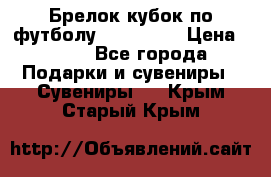 Брелок кубок по футболу Fifa 2018 › Цена ­ 399 - Все города Подарки и сувениры » Сувениры   . Крым,Старый Крым